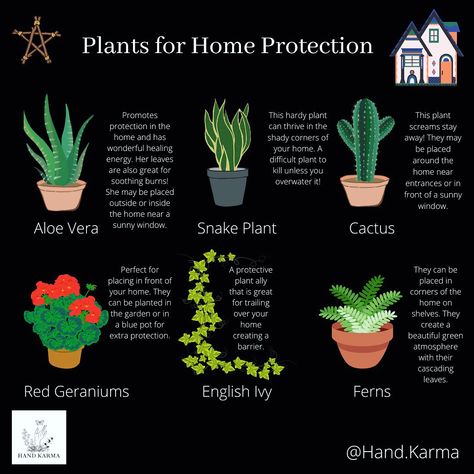 House Plants For Witches, Witch Protection For Home, Witch House Plants, Plants For Home Protection Witchcraft, Herbs And Plants For Witchcraft, Witch Plants Indoor, Witchy Plants And Meanings, Herb For Protection, Plants For Witchcraft