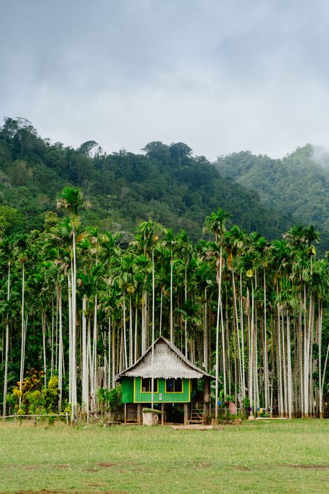 Guinea Country, Scuba Diving Australia, Dreamy Decor, Oceania Travel, Destination Voyage, Pink Vibes, New Guinea, Palau, Island Home