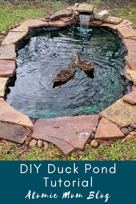 Diy Small Duck Pond, In Ground Duck Pond, Shed Into Duck Coop, Diy Goose Pond, Diy Chicken And Duck Coop Ideas, Duck Boxes Diy, Koi And Duck Pond, Duck Pond With Filter, Duck Pond Ideas Backyards