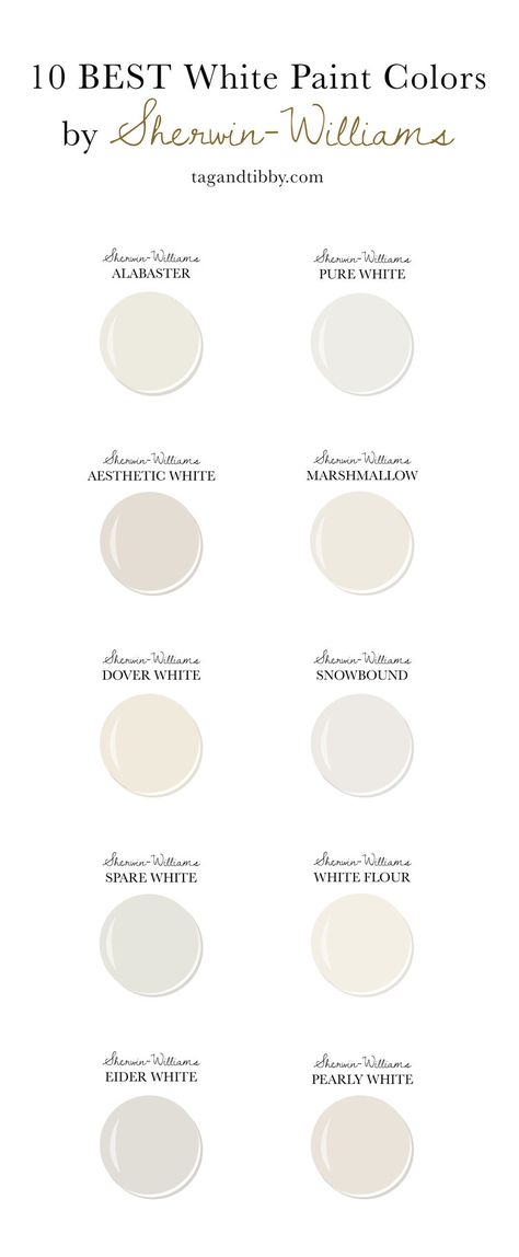 10 Best White Paint Colors by Sherwin-Williams — Tag & Tibby Design Best White Paint Colors, Warm Neutral Paint Colors, Eider White, Best Neutral Paint Colors, White Wall Paint, Sherwin Williams White, Best White Paint, Neutral Paint Color, Off White Paints