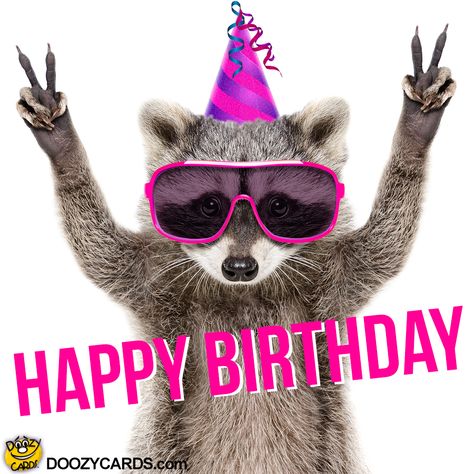 Birthday Raccoon, Happy Birthday Illustration, Funny Happy Birthday Wishes, Birthday Greetings Funny, Birthday Greetings Friend, Birthday Card Sayings, Happy Birthday Art, Happy Birthday Greetings Friends, Birthday Wishes Funny