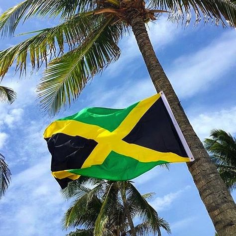 Jamaica 🇯🇲 Jamaica Flag Wallpaper, Jamaica Flag Aesthetic, Jamaican Flag Aesthetic, Jamaica Vacation Aesthetic, Jamaica Pics, Negril Jamaica Vacation, Jamaican Aesthetic, Meat Aesthetic, Caribbean Market