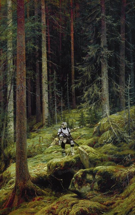 Endor Star Wars Aesthetic, Star Wars Wallpaper Iphone Aesthetic, Star Wars Aesthetic Wallpaper Iphone, Stormtrooper Aesthetic, Stormtrooper Wallpapers, Star Wars Landscapes, Star Wars Nature, Star Wars Backgrounds, Star Wars Forest