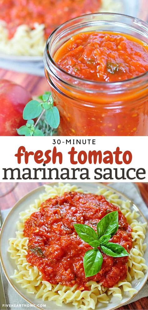 How To Make Pasta Sauce From Fresh Tomatoes, Bolognese Sauce With Fresh Tomatoes, Marinara Sauce Homemade Fresh Tomatoes, Fresh Tomato Sauce Homemade, Fresh Tomato Marinara Sauce, Tomato Marinara Sauce, Pasta Sauce With Fresh Tomatoes, Homemade Pasta Sauce, Fresh Tomato Pasta