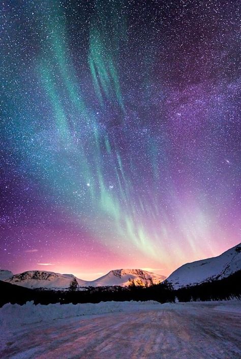 Aurora Boreal, Northern Lights Mural, Aurora Lights, Photography Inspiration Nature, Futurisme Retro, Haiwan Lucu, Aurora Borealis Northern Lights, The Night Sky, Beautiful Sky