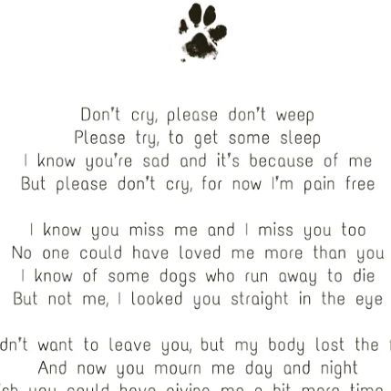 Dog Quotes Saying Goodbye, Quotes For A Dog That Passed, Love A Dog Quotes, Dog Gone To Heaven Quotes, Losing Your Childhood Dog Quotes, Goodbye To Pets Dogs, We Don’t Deserve Dogs Quotes, Message From Dog In Heaven, Letter From Dog In Heaven