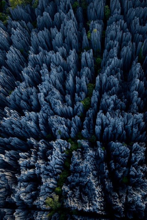 Tsingy- The Stone Forest of Madagascar Madagascar Travel, Stone Forest, Outdoor Cooler, Rock Textures, Forest Pictures, Interesting Places, World Pictures, Africa Travel, Nature Reserve