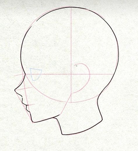 Heads Poses Drawing, Side Face Drawing Woman, Anime Head Proportions, Head Practice Drawing, Anime Head Sketch, Anime Head Drawing Reference, Boy Head Drawing, Head Drawing Reference Angles, Anatomy Reference Head