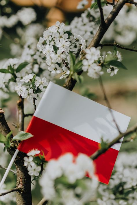 Polish Independence Day, Polish Flag, Turkey Flag, Poland Flag, Patriotic Pictures, Paradise Travel, England Flag, India Flag, East Europe