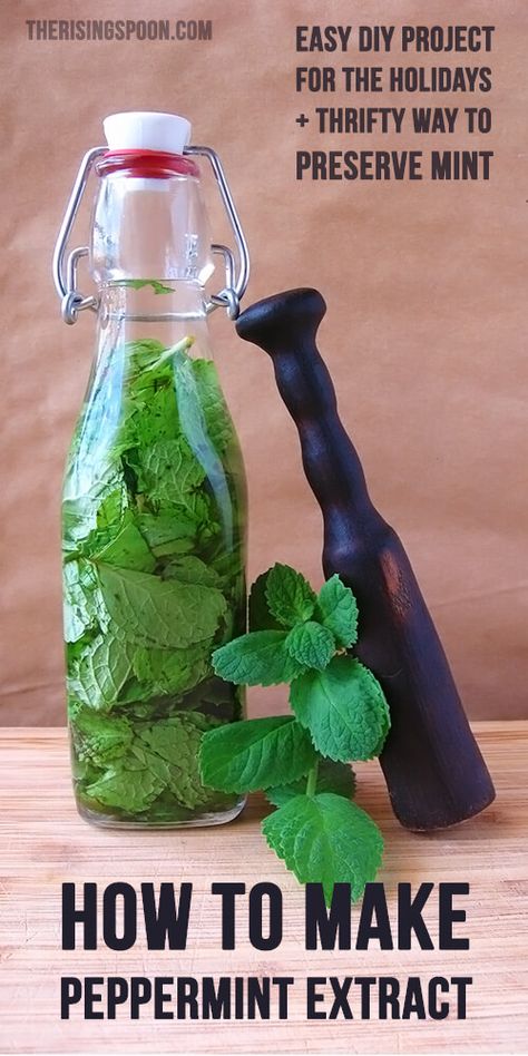 Diy Extracts, Peppermint Extract, Mint Extract, Homemade Spices, Aioli, How To Make Homemade, Spice Mixes, Canning Recipes, Mint Leaves