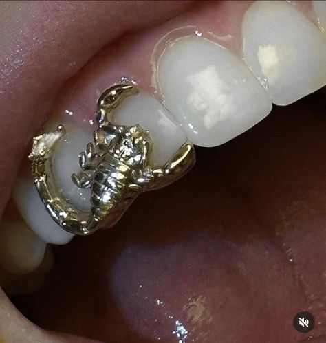 Dope Jewelry Accessories, Grills Teeth, Tooth Gem, Gold Teeth, Teeth Jewelry, Jewelry Accessories Ideas, Dope Jewelry, Funky Jewelry, Jewelry Lookbook