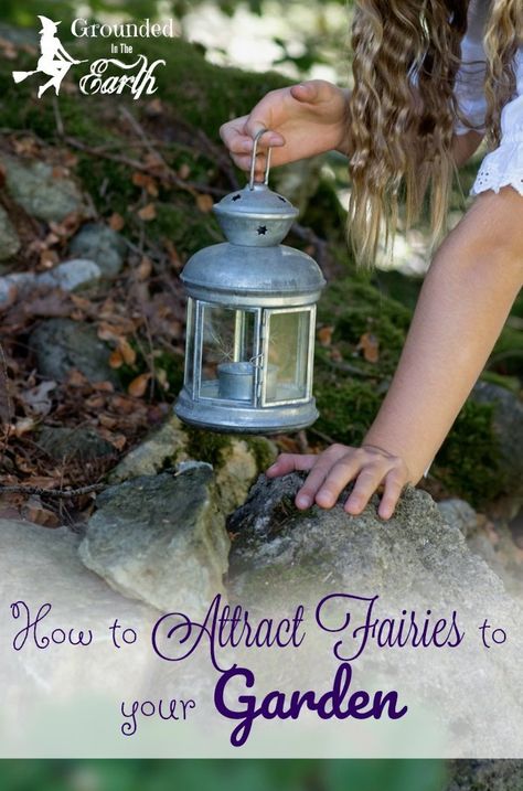 How To Attract Fairies, Faery Witchcraft, Fairy Jungle, Attract Fairies, Herbal Witch, Witchy Garden, Real Life Fairies, Real Fairies, Magic Books