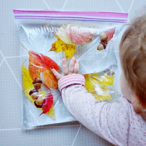 Infants Fall Activities, Sensory Leaf Activities, Infant Leaves Activities, Leaf Sensory Bags, Sensory Bags Fall, Fall Sensory Bags For Infants, Fall Sensory Play For Toddlers, Autumn Sensory Bags, Autumn Babies Activities