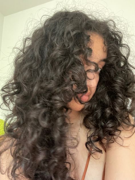 Puffy Hair Aesthetic, Curly Hair Princess Aesthetic, Big Poofy Curly Hair, Healthy Wavy Curly Hair Aesthetic, Curly Hair Manifestation, Siren Hair, Curly Haired Girl, Curly Hair Aesthetic, Fizzy Hair