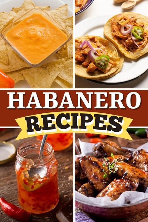 These habanero recipes are full of heat and flavor! From salsa to chili to chicken wings, spice up your life with these simple dishes. Recipes With Habaneros, Chicken Habanero Recipes, Salsa With Habanero Peppers, Habanero Chicken Recipes, Fresh Habanero Recipes, Habenero Recipes Chicken, Habenero Recipes Hot Sauces, Habanero Recipes Food, Recipes With Habanero Peppers