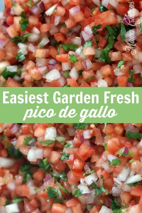 Skip the jar of salsa - it is SO easy to make flavor-packed homemade fresh salsa. This salsa (also commonly referred to as pico de gallo) is so flavorful. Made with fresh tomatoes, red onions, cilantro, garlic, salt and lime juice, this is such an easy recipe that feeds a crowd!  YUM! #salsa #recipe #mamacheaps