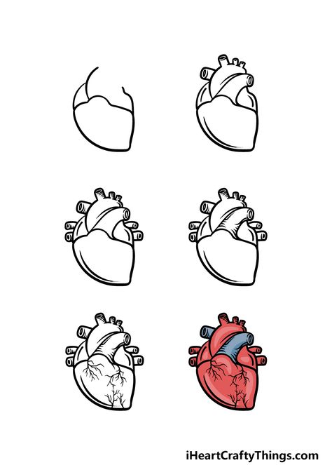 Cartoon Heart Drawing - How To Draw A Cartoon Heart Step By Step Easy Doodles Drawings Step By Step, Easy Heart Drawings, Anatomical Heart Drawing, Human Heart Drawing, Cute Heart Drawings, Drawing Ideas Easy, Desain Buklet, Start Drawing, Cartoon Heart