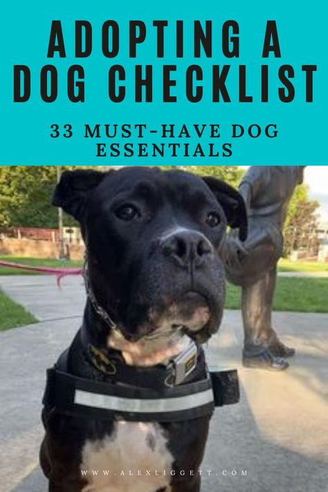 Dog Checklist, Dog Essentials Products, Shelter Dogs Adoption, Dog Boutique Ideas, Animal Rescue Ideas, Adopting A Dog, Dog Quote, Shelter Dog, Dog Essentials