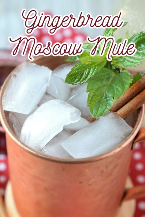 Gingerbread Moscow Mule – A delicious holiday cocktail made with just 4 simple ingredients. This is such a great spin on a classic moscow mule cocktail. Moscow Mule Recipe | Gingerbread Cocktail… More Christmas Mules Cocktail, Winter Mule Cocktail, Molasses Syrup, Gingerbread Cocktail, Cocktail Moscow Mule, Cocktail Christmas, Gingerbread Syrup, Moscow Mule Cocktail, Moscow Mules