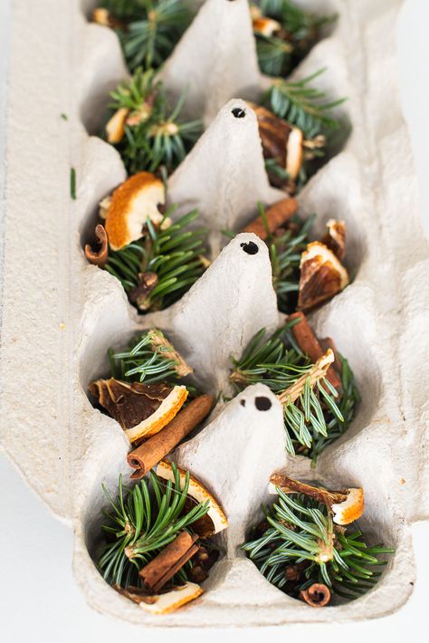 How to Repurpose Old Christmas Trees into DIY Fire Starters Egg Carton Fire Starters, Diy Fire Starter, Diy Fire Starters, Firestarters Diy, Christmas Fundraiser, Homemade Fire Starters, Pinecone Fire Starters, Simmer Pots, Fire Starters Diy