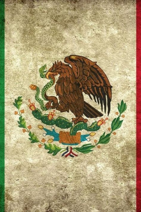 Beautiful flag <3 Mexican Flag Wallpaper, Mexican Flag Drawing, Mexico Culture Art, Wallpaper Mexico, Mexican Things, Mexican American Culture, Mexico Wallpaper, Aztec Artwork, Mexican Eagle