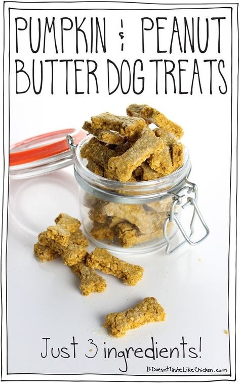 Pumpkin Peanut Butter Dog Treats, Sweet Potato Dog Chews, Vegan Dog Treats, Pumpkin Peanut Butter, Homemade Dog Cookies, Dog Treats Homemade Easy, Easy Dog Treat Recipes, Dog Biscuit Recipes, Easy Dog Treats