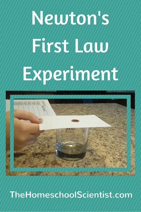 Don't be intimidated by scientific laws. They are simple rules that tell how the universe works. This Newton's first law of motion experiment shows just how simple. Newtons First Law, Physical Science Experiments, Physical Science Activities, Sixth Grade Science, Fourth Grade Science, How The Universe Works, Physics Experiments, Newtons Laws, 8th Grade Science