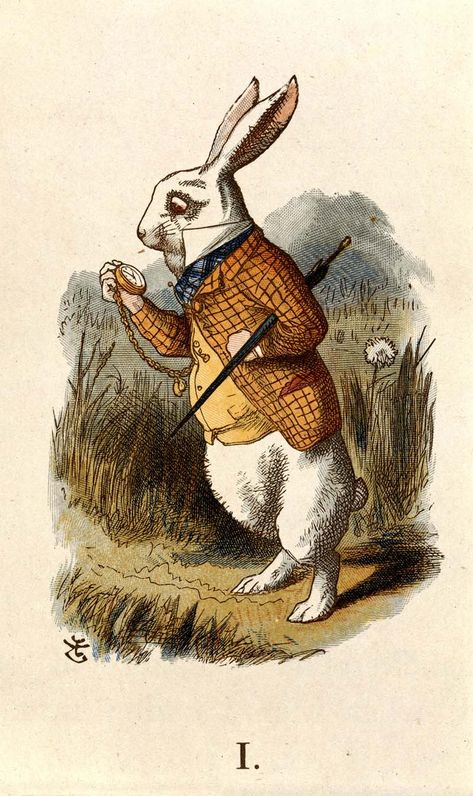 Alice Drawing, Crafts Illustration, Alice Rabbit, Hare Illustration, Alice In Wonderland Rabbit, White Rabbit Alice In Wonderland, Easter Bunny Pictures, Alice In Wonderland Illustrations, Rabbit Pictures