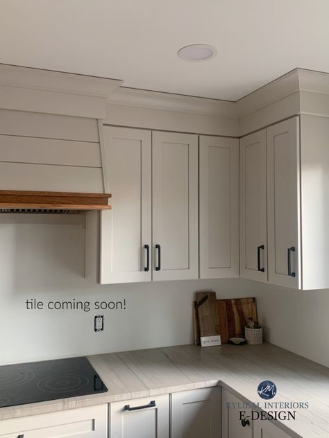 Cabinet Color Sherwin Williams, Light Greige Paint Colors, Light Greige Paint, Sherwin Williams Agreeable Gray, Greige Kitchen Cabinets, Taupe Kitchen Cabinets, Taupe Paint Colors, Kylie M Interiors, Warm Grey Paint Colors