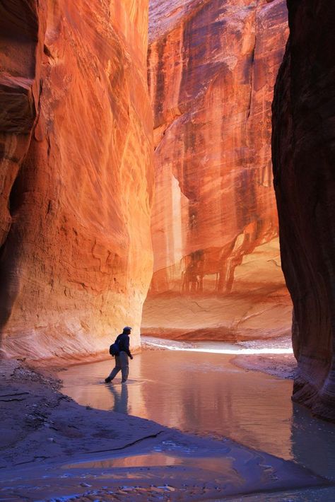 By Mike Koopsen Hiking through some of the Paria Canyon (straddling the UT/AZ border) while crossing the Paria River multiple times, expect cold water, lots of slippery mud, and possibly quicksand.… || Utah Paria Canyon, River Canyon, Utah Road Trip, Contemporary Landscape Painting, Desert Dream, Utah Travel, Fate Stay Night Anime, Arizona Travel, Contemporary Landscape