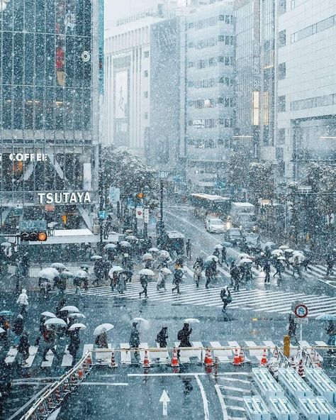 Snow In Japan, Tokyo Winter, Winter In Japan, Tokyo Aesthetic, Japan Winter, Japan Holidays, Tokyo Japan Travel, Visit Tokyo, Snow Trip