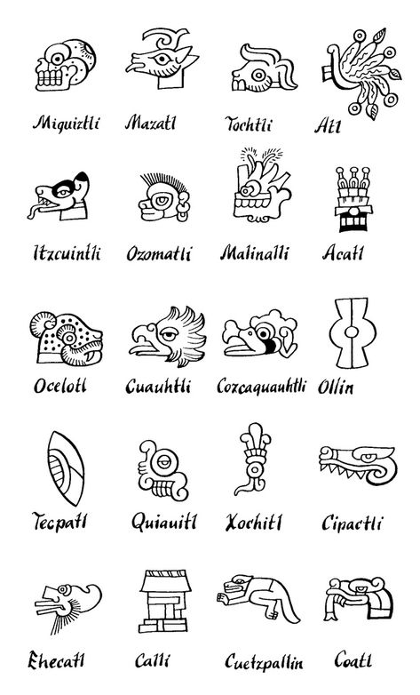 MesoAmerican glyph legend | Flickr - Photo Sharing! Aztec Drawings, Aztec Symbols, Aztec Tattoos, Mayan Symbols, Aztec Tattoo Designs, Aztec Culture, Mayan Art, Aztec Tattoo, Aztec Warrior