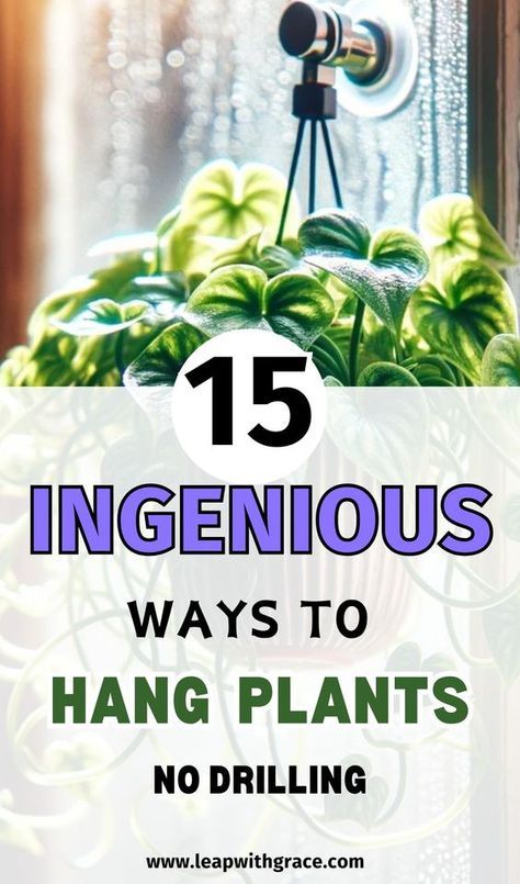 Discover creative and drill-free methods to showcase your potted plants with these ingenious ideas. Elevate your greenery game with these easy hanging solutions. #hangingplants #pottedplants #greenery #plantlovers #diyideas Hang Plants From Ceiling, Bathroom Plants Decor, Hang Plants, Hanging Indoor Plants, Wall Hanging Decorations, Plant Display Ideas, Hanging Plants Diy, Indoor Plant Hangers, Indoor Plant Wall