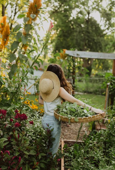 Farm Lifestyle, Mother Earth News, Magic Garden, Garden Cottage, Sleeve Tattoo, Permaculture, Dream Garden, Farm Life, Horticulture