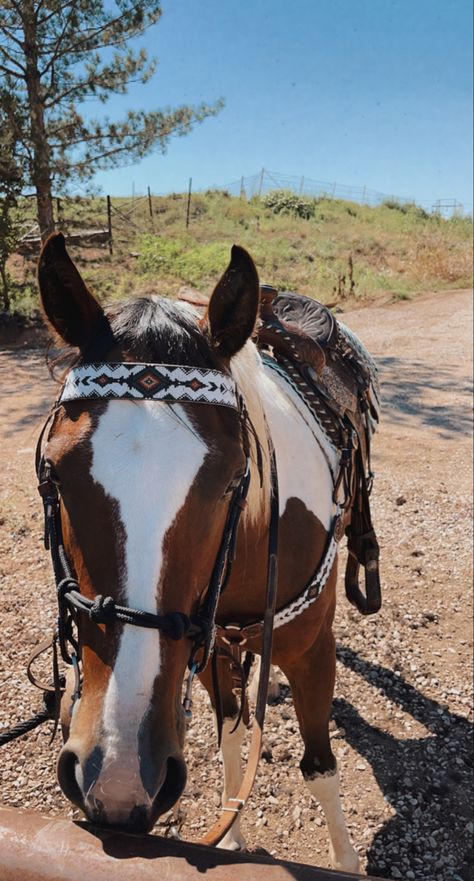 paint horse with beautiful western saddle & tack Aztec Horse Tack, Equine Barns, Saddle Western, Horses Tack, Horse Barn Ideas Stables, Animals Horse, Horse Barn Designs, Western Horse Saddles, Western Stuff