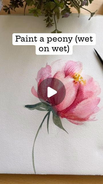 Bhavana Deka |  Watercolor artist / educator 🇮🇳 on Instagram: "Getting back on the reels track… 🤭  . . . . . . . . . #watercolors #watercolorpainting #vintagepainting #watercolorflorals #watercolorillustration #watercolorartist #artnews #modernwatercolorbotanicals #loosestylewatercolor #impressionism #impressionistart #watercolorartist #watercolorflowers #watercolorflorals #watercolordaily #abstractfloraldesign #peonytutorial #artistreel #watercolourpaintingtutorial #watercolourtutorial #tutorialreel #peony #peonybouquet #peonywatercolor" Floral Paintings Watercolor, Watercolor Peony Tutorial, Peony Watercolor Tutorial, How To Paint Flowers Watercolor, Jenna Rainey Watercolor, Watercolor Waterlily, Loose Watercolor Flowers Tutorial, Watercolor Flower Tutorial, Peony Watercolor Painting