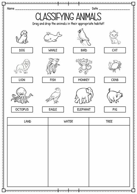 Classifying Preschool Activities, Animal Teaching Activities, Worksheet On Animals For Kindergarten, Classifying Animals Activities, Evs Worksheet For Class 1 Animals, Elementary Science Worksheets, 1st And 2nd Grade Worksheets, Animals For Preschool Activities, Evs Worksheets For Grade 2 Animals