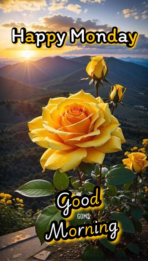 Happy Monday Flowers, Happy Good Morning Images, Good Morning Happy Monday, Good Morning Flowers Rose, Good Morning Spiritual Quotes, Flowers Images, Good Morning Flowers Pictures, Rose Flower Wallpaper, Good Morning Beautiful Pictures