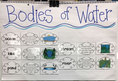 Bodies of Water  First Grade Bodies Of Water Preschool, Bodies Of Water Activities Preschool, Bodies Of Water Anchor Chart, Bodies Of Water Activities, Bodies Of Water First Grade, Freshwater And Saltwater 2nd Grade, Landforms And Bodies Of Water 1st Grade, Water Activities Preschool, Water Cycle Craft