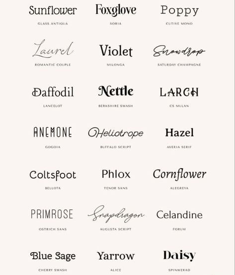 Delicate Tattoo Fonts, Tattoo Font Ideas, Simple Tattoo Fonts, Tattoo Writing Fonts, Tattoo Word Fonts, Tattoo Font Styles, Best Tattoo Fonts, Tattoo Name Fonts, Number Tattoo Fonts