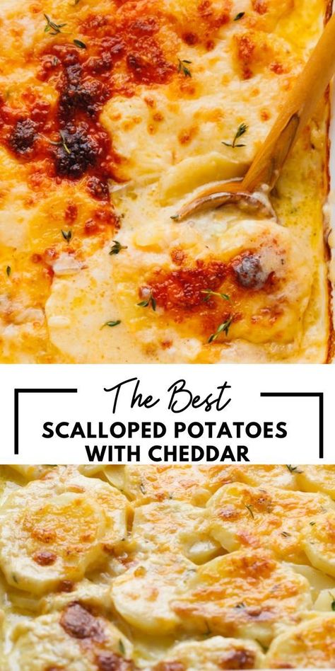 Easy to make, these scalloped potatoes with cheddar are creamy, cheesy, and full of wonderful flavors. Very tender and loaded with Cheddar Cheese. Cheddar Scalloped Potatoes, Easy Cheesy Scalloped Potatoes, Cheese Scalloped Potatoes, Cheesy Scalloped Potatoes Recipe, Best Scalloped Potatoes, Scalloped Potatoes Easy, Potatoes Easy, Scalloped Potatoes Cheesy, Scalloped Potato Recipes