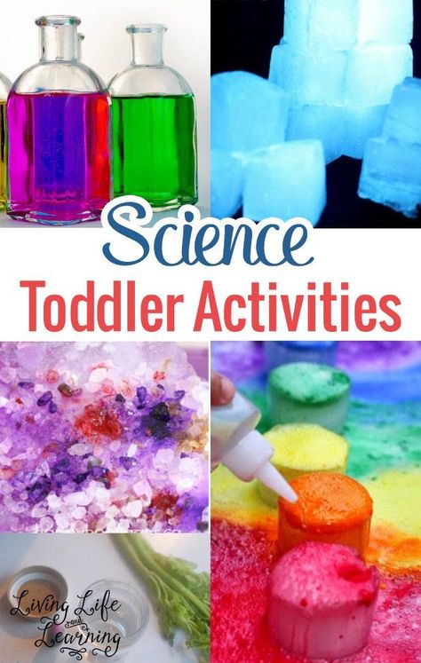 Here are some really awesome Science toddler activities that are both a great introduction to the fascinating world of Science and are also age-appropriate. Come take a look! Aren't they awesome? Montessori, Science Activities For Toddlers, Toddler Stem, Science For Toddlers, Toddler Classroom, Space Activities, Science Activities For Kids, Job Ideas, Toddler Snacks