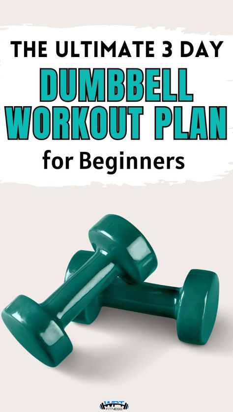 3 Day Workout Plan, Building Muscle At Home, Dumbbell Workout For Beginners, Day Workout Plan, Dumbbell Workout Plan, Beginner Gym, 3 Day Workout, Muscle At Home, Weight Training For Beginners