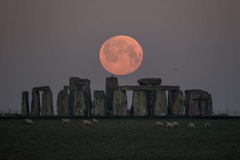 Next Full Moon, Full Moon Rising, Moon Setting, Moon Rise, The Weather Channel, Pink Moon, Super Moon, Blood Moon, Bournemouth