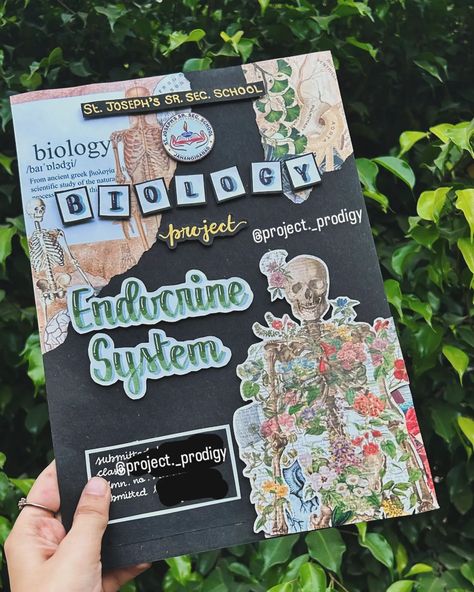 CLASS 10TH BIOLOGY COVERPAGE✨ TOPIC- ENDOCRINE SYSTEM DM FOR ORDERS 🌷 [Custom school projects, Affordable student projects, Decorative project sheets, CBSE project help, Assignment completion services, College project assistance, Holiday homework solutions, Customizable student notebooks, Aesthetic cover pages for assignments, School notebook completion, Student project help online, Custom cover pages for projects] #holidayhomework #cbseprojects #school #schoollife #SchoolProjects #school... Cool Biology Projects, Biology Index Design, Biology Project Decoration Ideas, Biology Assignment Ideas, Coverpage Aesthetic Ideas, Supw Project Cover Page, Biology Decorations Ideas, Biology Aesthetic Cover Page, Endocrine System Project