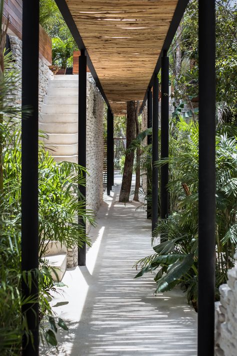 Gallery of Ka’a Tulum Housing Complex / Studio Arquitectos - 14 Tulum House, Sagada, Modern Tropical House, Covered Walkway, Bali House, Courtyard Design, Tropical Architecture, Outdoor Stairs, Residential Apartments