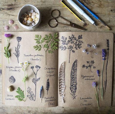 Journal D'inspiration, Journal Prompts For Kids, Kunstjournal Inspiration, Botanical Sketchbook, Field Journal, Plant Journal, Journal Aesthetic, Arte Sketchbook, Kids Journal