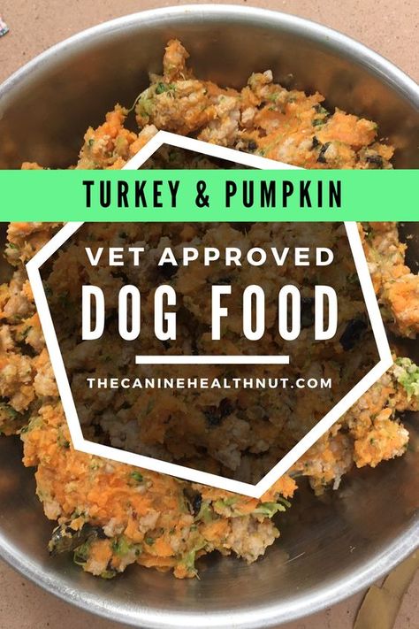 Nutritionally Balanced Homemade Dog Food, Healthy Homemade Dog Food For Older Dogs, Easy Dog Food Recipes Homemade Instant Pot, Making Dog Food Homemade Crockpot, Turkey Dog Food Recipes Crockpot, Home Cook Dog Food, Best Fresh Food For Dogs, Pumpkin Food For Dogs, Dog Food Recipe With Pumpkin