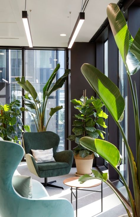 Plant Office Design, Green Office Decor, Biophilic Office, Plant Office Decor, Lobby Designs, Breakout Space, Modern Bureau, Startup Office, Wellness Room