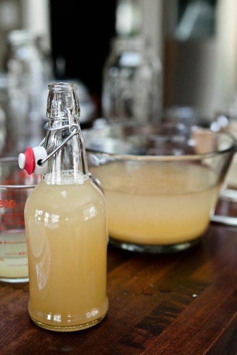 Homemade Ginger Beer, Ginger Beer Recipe, Fermentation Recipes, Homemade Syrup, Homemade Wine, Fermented Drink, Homemade Drinks, Beer Recipes, Ginger Ale